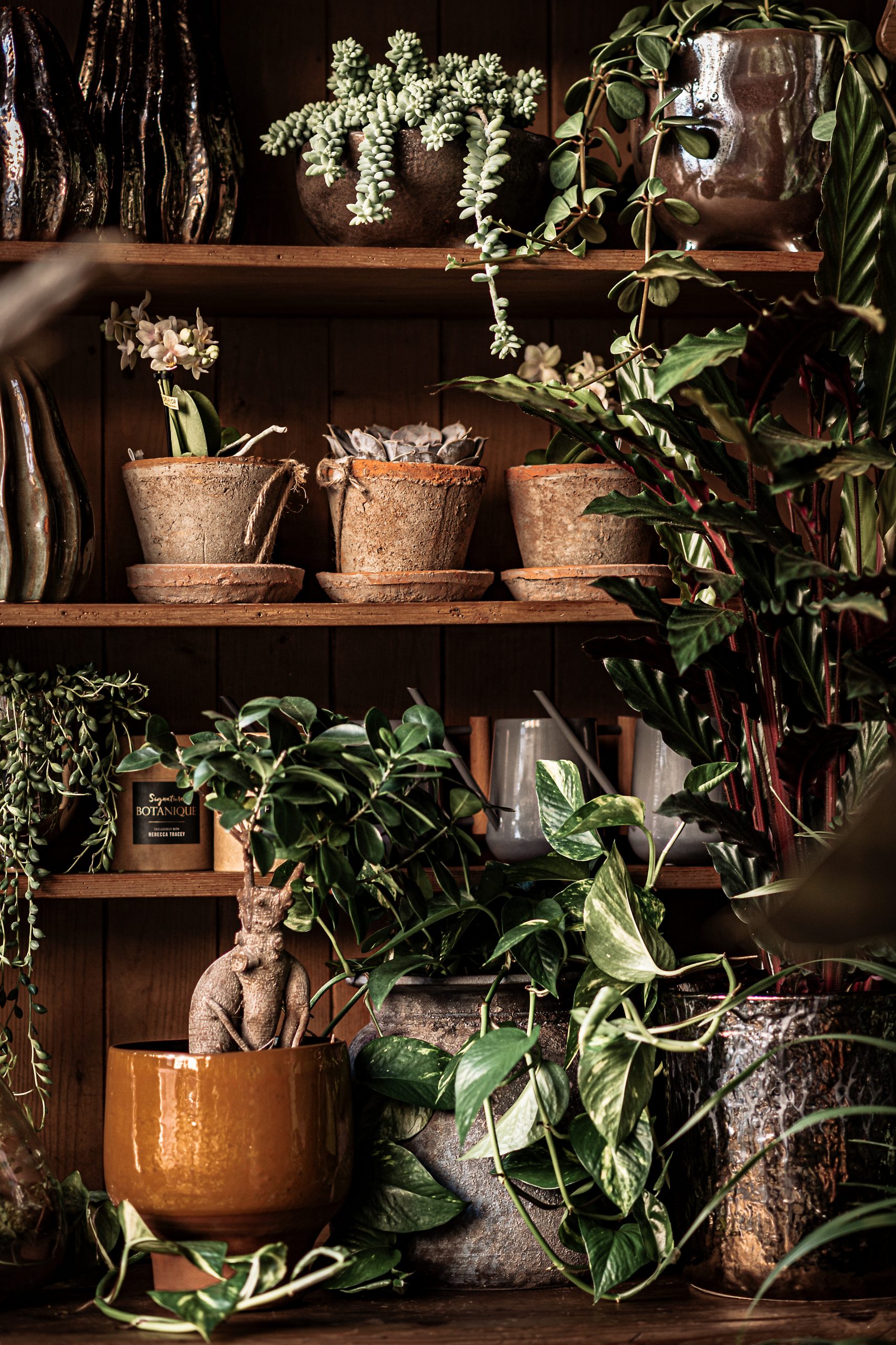 The Botanical Atelier Botanique