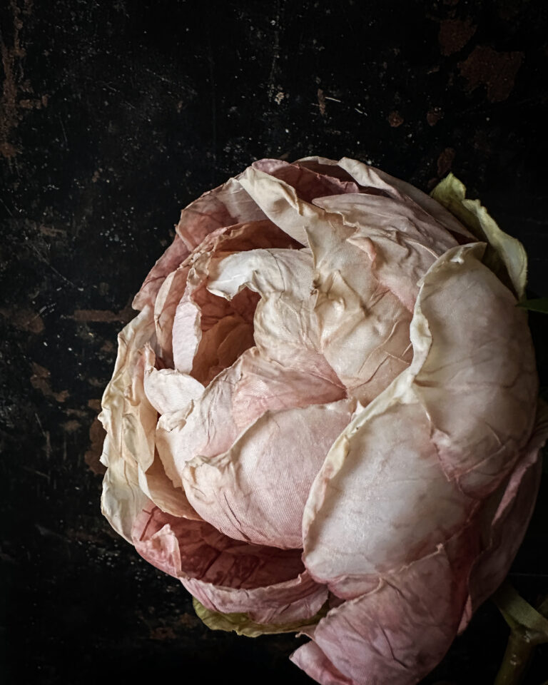 Peony - Image 8