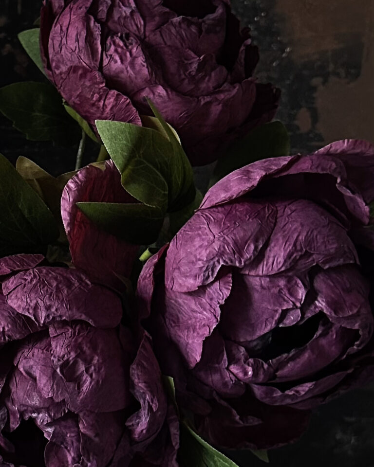 Peony - Image 7