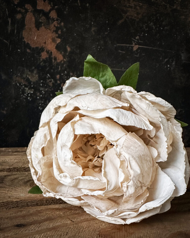 Peony - Image 5