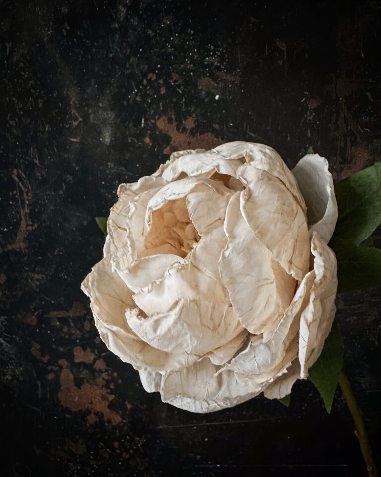 Peony - Image 4