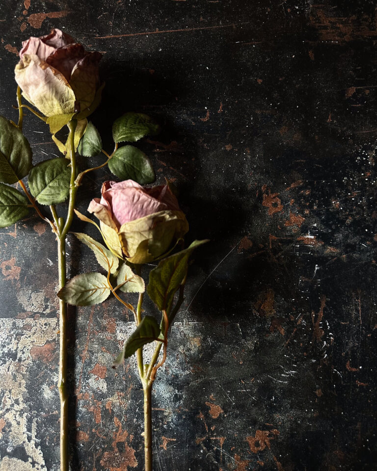 Rose - Image 2