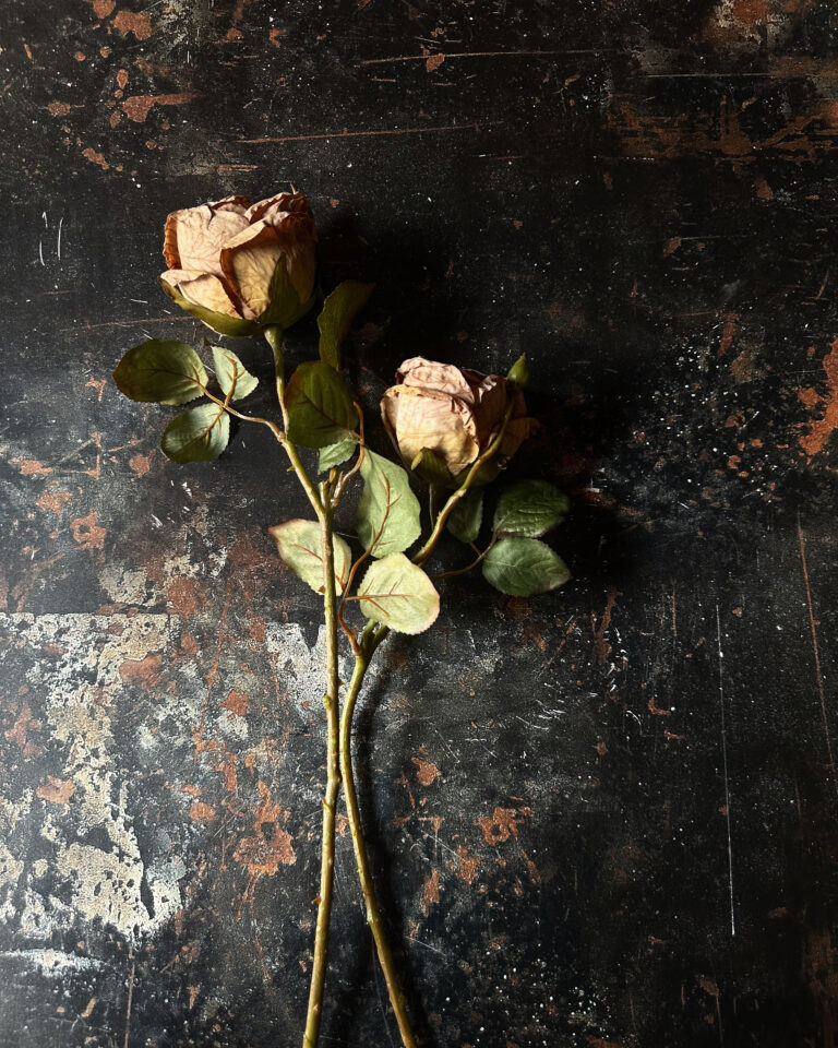 Rose - Image 3