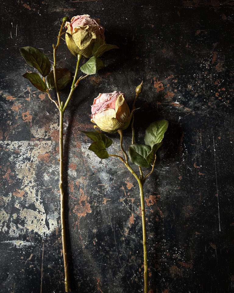 Rose - Image 4